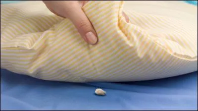 Que doit-on mettre sous notre oreiller pour que la souris nous apporte de l'argent en échange ?