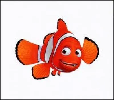 Je suis un poisson bleu à la queue jaune, je suis l'amie de Martin, je l'aide à retrouver Nemo. Qui suis-je ?