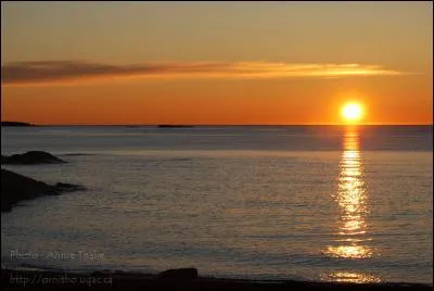 Qui a écrit "Le soleil se lève aussi" ?