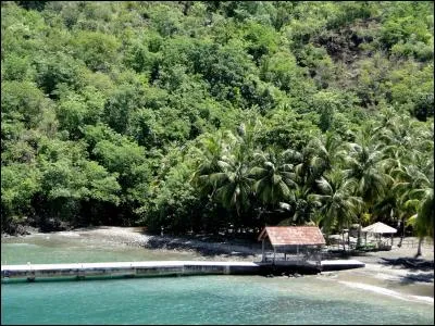 Comment s'appelle la grotte située à Anse Noire ?