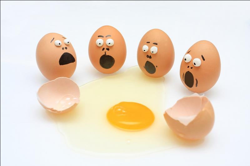 "Il ne faut pas mettre tous ses œufs dans le même _______."