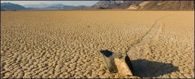 Traduction anglaise du proverbe précédent : 
"A rolling stone gathers no _______."