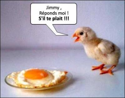 Traduction anglaise du proverbe précédent : "Don't put all your eggs in one ______."