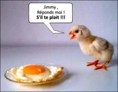 Traduction anglaise du proverbe précédent : 
"Don't put all your eggs in one ______."