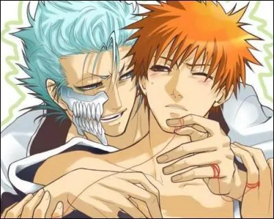 Un peu de yaoi ne vous fera pas de mal ! De qui est constitué ce joli couple ? Attention, il y a 2 réponses.