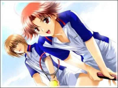 Dernier petit yaoi issu cette fois de "Prince of Tennis". Je trouve cette image sublime, pas vous ?