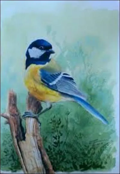 Lente, rapide, à l'eau, à la vapeur, au four :