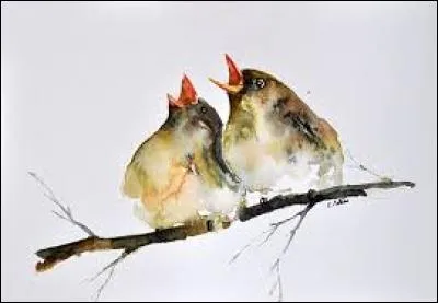 Langue parlée en Colombie et au Venezuela :