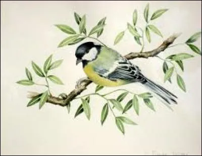 Partie de la jambe située entre la hanche et le genou :