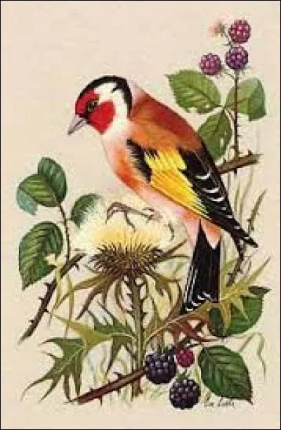 En cuisine, cuisse d'un gros gibier :