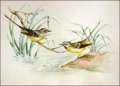 Le "Potemkine" en est un !