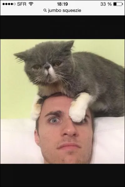 Comment s'appelle son chat