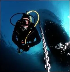 Quel nom est donn aux plongeurs quips d'un scaphandre autonome ?