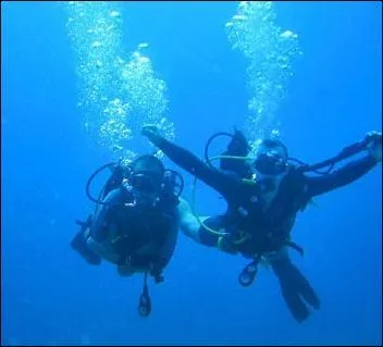 Quel signe les plongeurs utilisent-ils pour signifier  leurs partenaires que 'tout va bien' ?