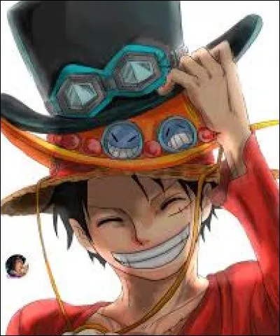 Qui sont les frères de Luffy ?