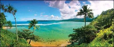 Ma province est surnomm&eacute;e "Big Island". Je suis :