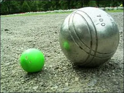 La plus petite boule est le petit d'un de ces animaux. Trouvez-le !