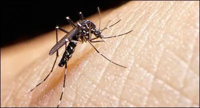 Un virus, transmis par un moustique effraie les sportifs et les 500000 touristes attendus; de quel virus s"agit t'il?