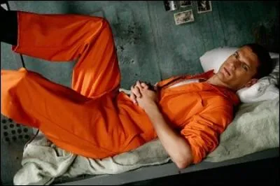Dans quelle série Wentworth Miller a-t-il joué ?