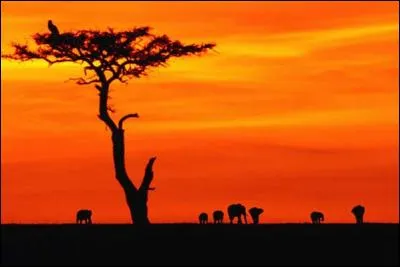 Le soleil se couche à :