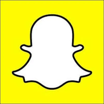 Ce réseau social est utilisé par les jeunes. Vous avez reconnu...