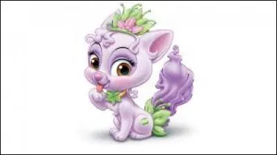 &Agrave; qui appartient M&ucirc;re ?