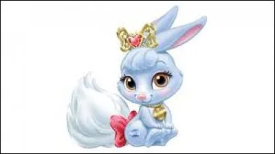 &Agrave; qui appartient Pomme ?