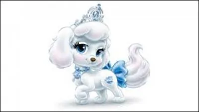 &Agrave; qui appartient Ballerine ?