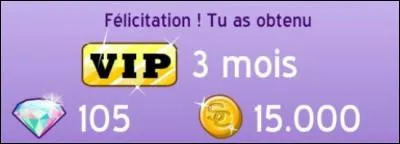 Combien y a-t-il de possibilités VIP? (combien de sortes)