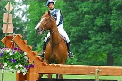 A cause de quoi peut-on être éliminé sur le cross ou l'hippique ?