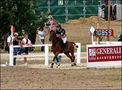 Qu'est-ce que l'hippique ?