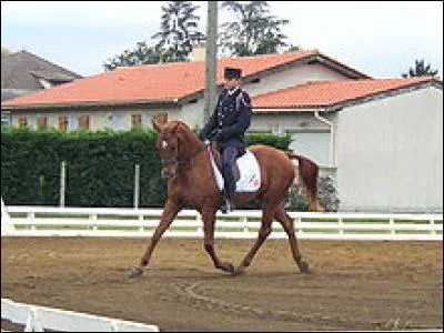 Combien mesure un carré de dressage (terrain où se déroule la reprise) ?