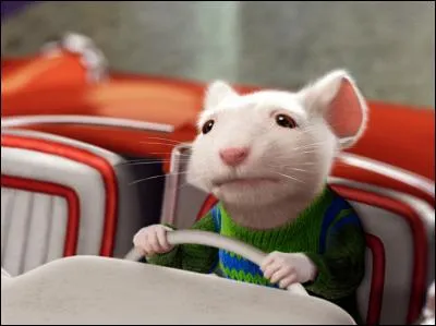 Reconnaissez-vous cette souris ?