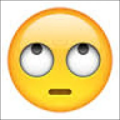 Et à quoi sert-il ?