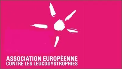 Comment s'appelle l'association que les Anges soutiennent pendant l'aventure ?