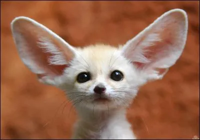 Substance aromatique cristallisée !