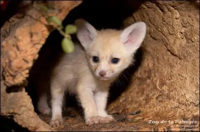 On peut, en certains cas, les qualifier d'infernales !