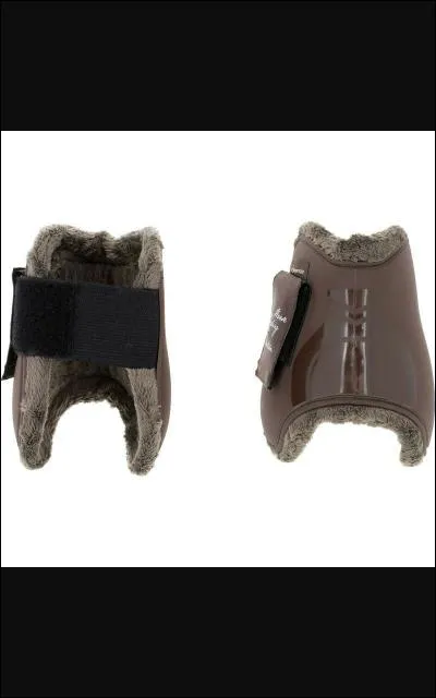 Comment s'appellent précisément ces protections ?