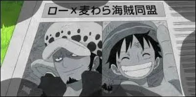 Law demande à Luffy de faire une alliance pour faire tomber...