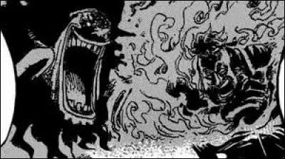 Quel est le nom du membre de l'équipage de Kaido qui était sur Zou ?
Quel combat y a-t-il eu au pays des Wa ?