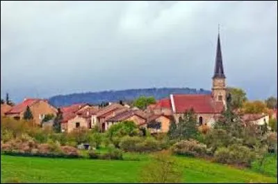 Lanfroicourt est un village lorrain de l'arrondissement de Nancy. Il se situe dans le département ...