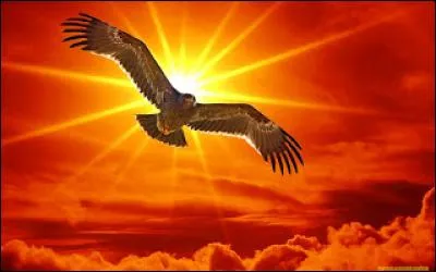 Les oiseaux peuvent-ils être flashés par un radar ?