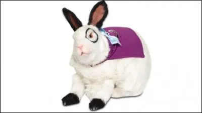 Comment s'appelle ce lapin qui auparavant était un humain ?