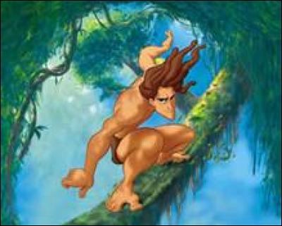 10 - D'après une théorie, de qui Tarzan serait-il le frère ?