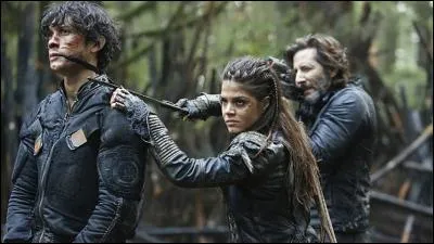 De quelle série vient cette image ?