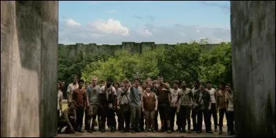 De quel film vient cette image ?