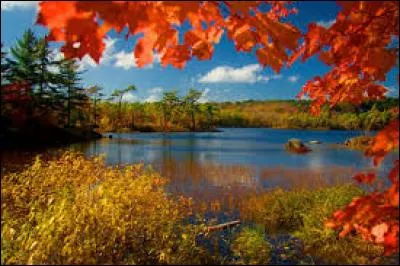 Comment est l'été d'après une chanson de Joe Dassin ?