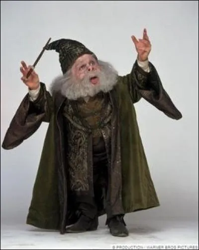 Filius Flitwick est ...