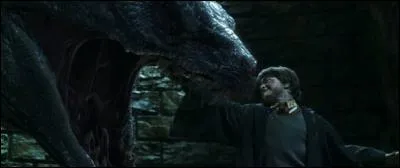 Comment Harry tue-t-il le basilic ?