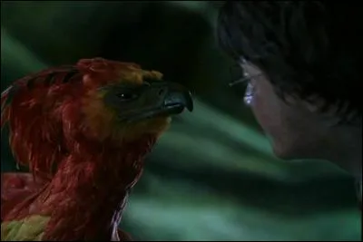 Fumsec arrive, comment guérit-il Harry ?